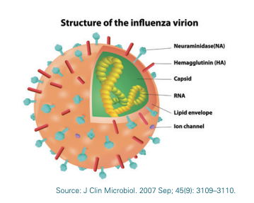 Cusabio Influenza B virus Recombinant